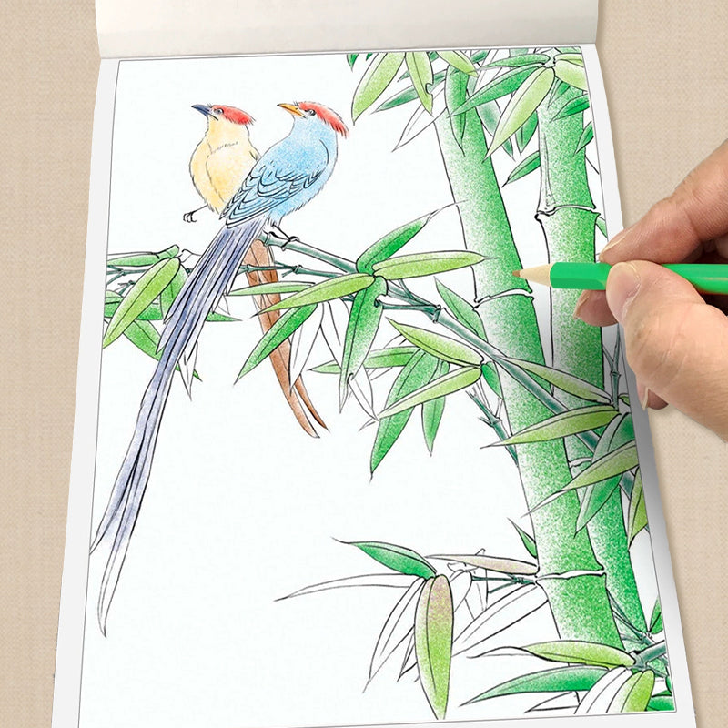 🎨HOT SALE🖼️ Chinese Painting White Drawing Copying Album