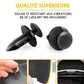 🚗Hot Sale 50% OFF🎁Car Body Plastic Rivets Fastening Kit