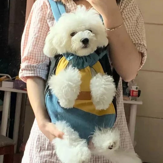 🐱2025 Hot Sale🎁Pet Travel Leg-out Backpack🐶