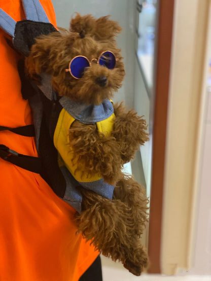 🐱2025 Hot Sale🎁Pet Travel Leg-out Backpack🐶