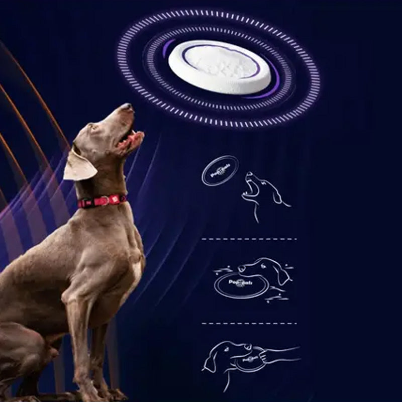 Durable Soft Safe Fun Dog Toys