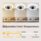 ✨ Summer 50% Price ❄️Remote Control Ceiling Fan with Light
