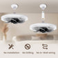 ✨ Summer 50% Price ❄️Remote Control Ceiling Fan with Light