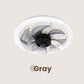 ✨ Summer 50% Price ❄️Remote Control Ceiling Fan with Light