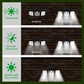 💡HOT SALE 50%OFF🔥Triple LED Solar Wall Light