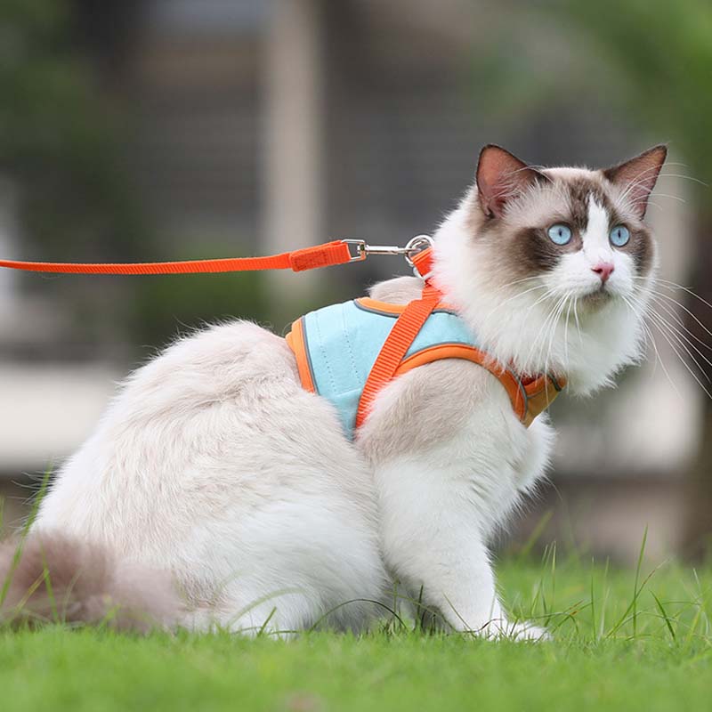 🐱Anti-Escape Reflective 🐱Cat Harness with Leash