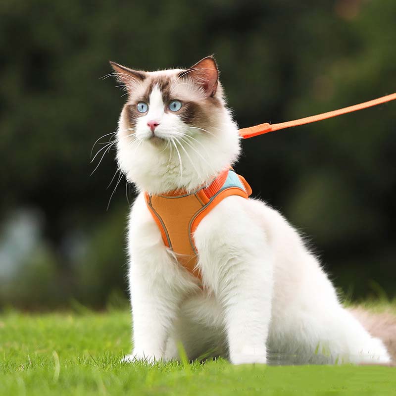 🐱Anti-Escape Reflective 🐱Cat Harness with Leash