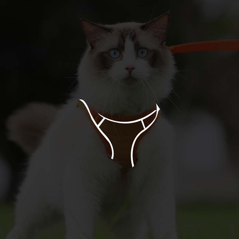 🐱Anti-Escape Reflective 🐱Cat Harness with Leash