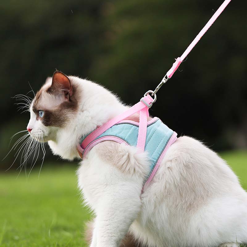 🐱Anti-Escape Reflective 🐱Cat Harness with Leash