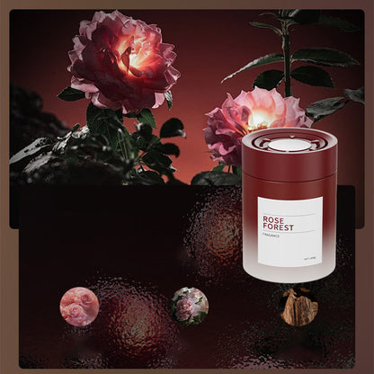 Long-Lasting High-End Car Aromatherapy