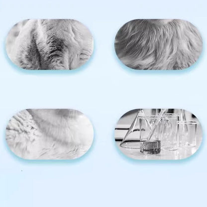 🖤Black Friday  Sale 🎁✨ No-Rinse Pet Shampoo Foam – Natural, Antibacterial & Gentle Formula for Stress-Free Dog & Cat Grooming!